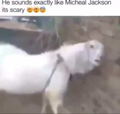 O.o