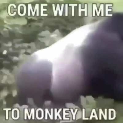I don&rsquo;t know bout you but I&rsquo;m going