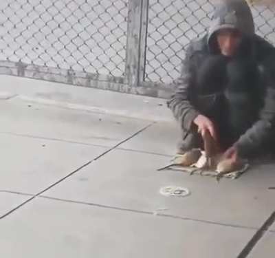 So the Rat whisperer thing is real.