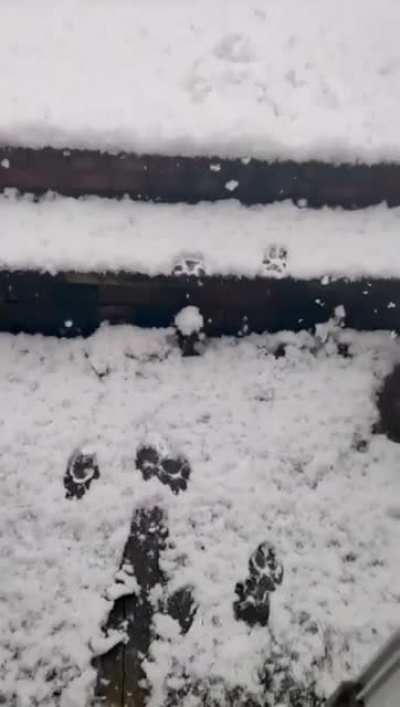 'That shit was colder than expected'
