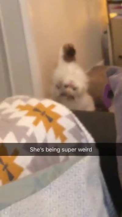 I think she&rsquo;s possessed