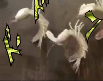 It's a Jojo reference