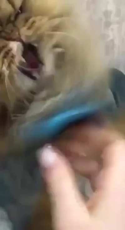 I said don&rsquo;t touch me!