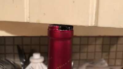 We were staying in an AirBnB when I suddenly opened the cabinet to get the glasses. Almost had a heart attack