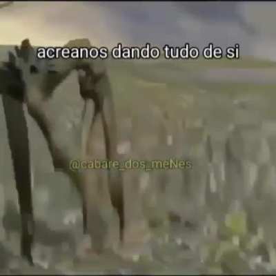 Cr&eacute;ditos no v&iacute;deo