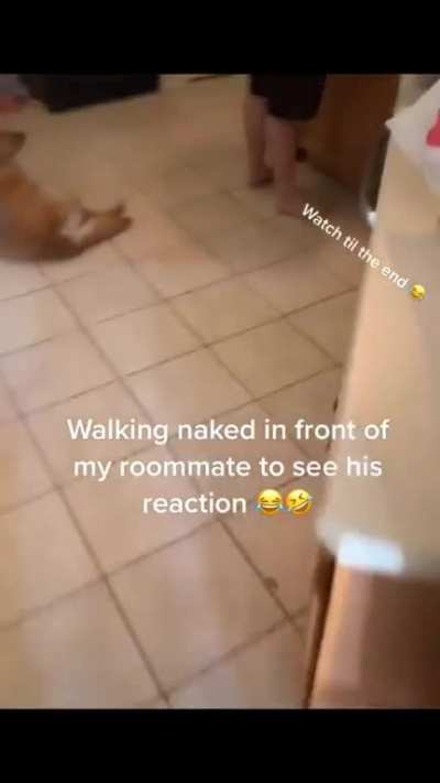 Walking naked to get roomies reaction