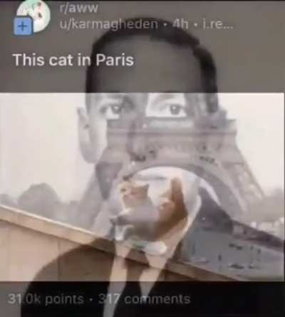 Rule in Paris