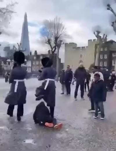 Make way for the Queen's Guard!