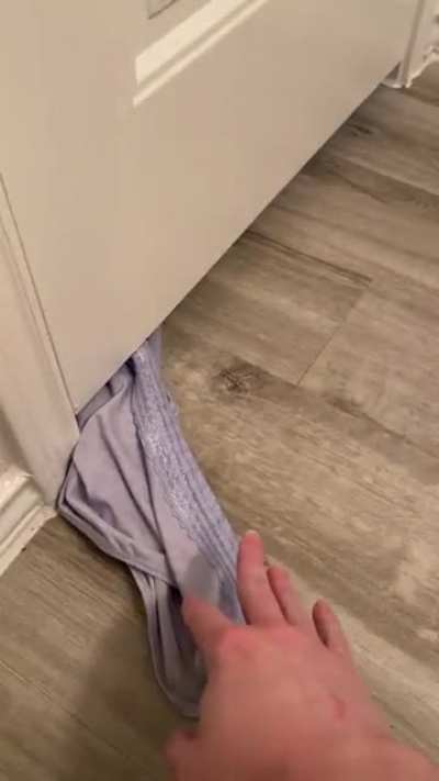 B!tch stole my underpants!