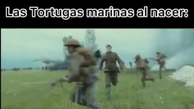 Tristemente cierto XD, para el que no entienda el porqué puede ver este vídeo sacado de un documental  