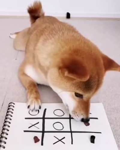 Maybe maybe maybe