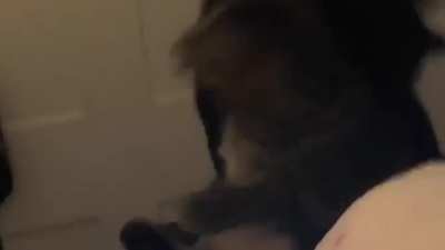 A brother&rsquo;s betrayal