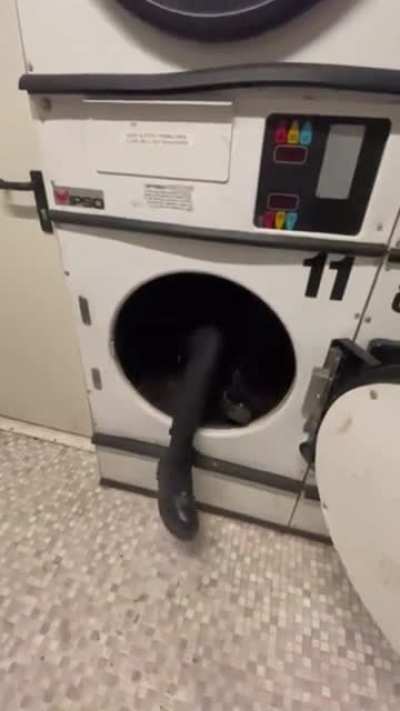 quite an excited laundromat