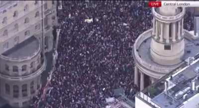 Thousands of proud Londoners are not intimidated by Suella Braverman, Keir Starmer, or the Met Police, chant "Free, free Palestine."