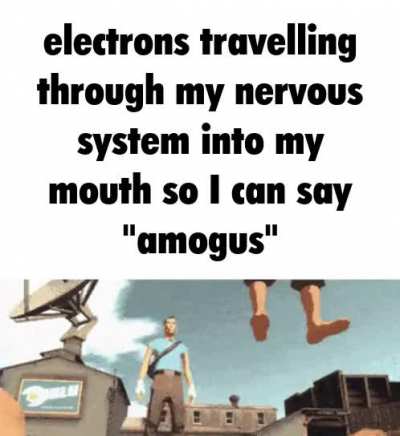 Sus