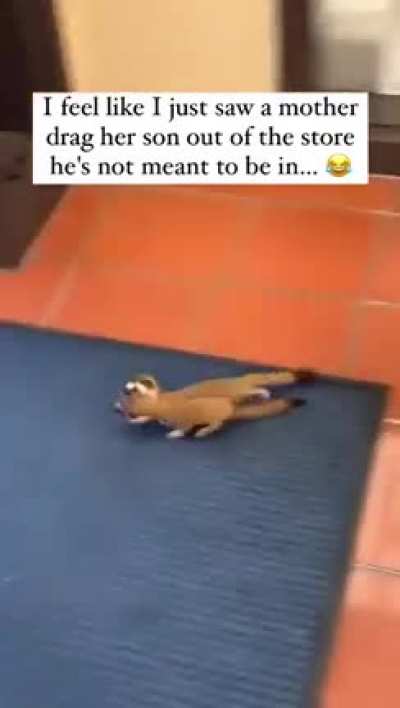 &ldquo;You are NOT supposed to be in here 😠😂