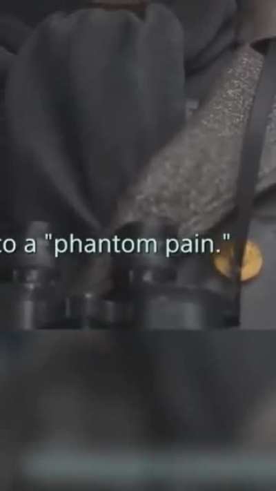 ..........