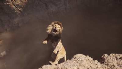 Long Live the King