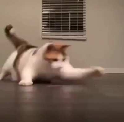 Chonker Boi, Dance of death
