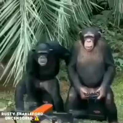 monke
