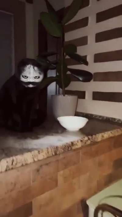 It's not me!