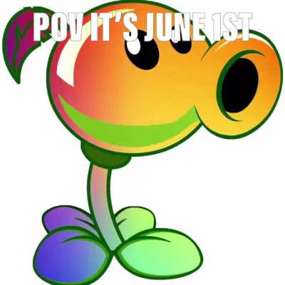 Gay shooter balls