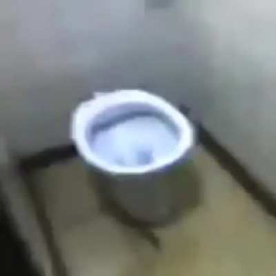 Toilet looked SUS