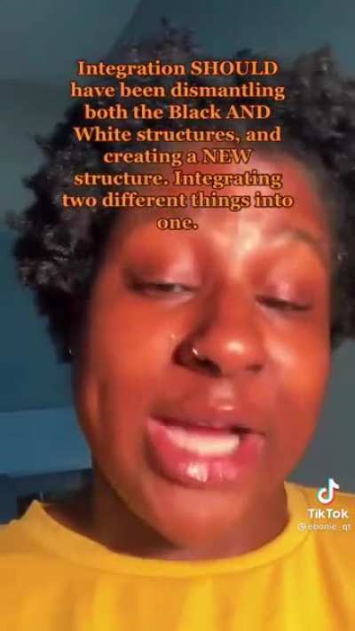 Tiktok user thinks blacks and whites should be separate again.