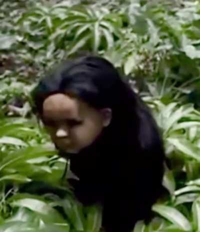 Hmmm