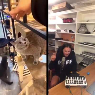 u/thekiffdave&rsquo;s seriously amazing remix of the Alugalug cat