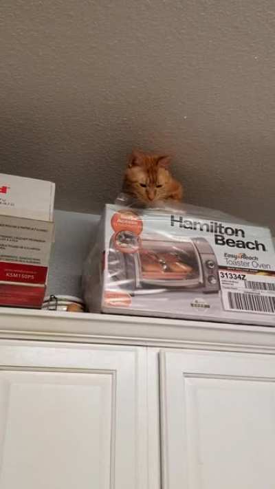 Freddie likes to nest with narration.