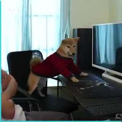 who says human mains are the only builds capable of playing video games?