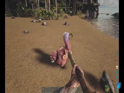 Why is everything so crazy high level!