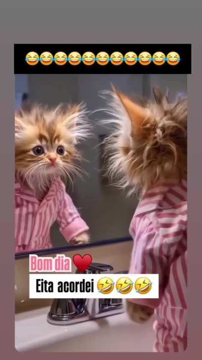 Bom Dia, Voc&ecirc; j&aacute; acordou assim...