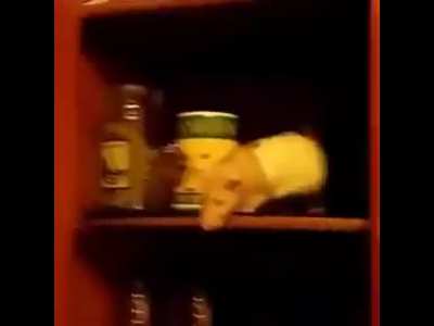 edge