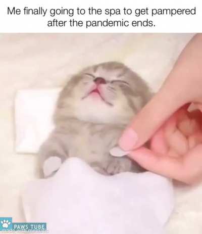 It&rsquo;s gonna be nice