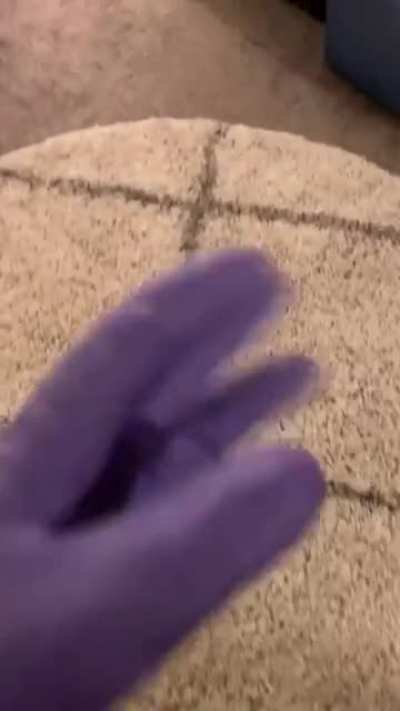 magic rug.