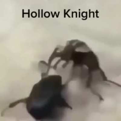 Pog