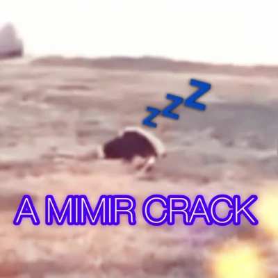 La mimicion