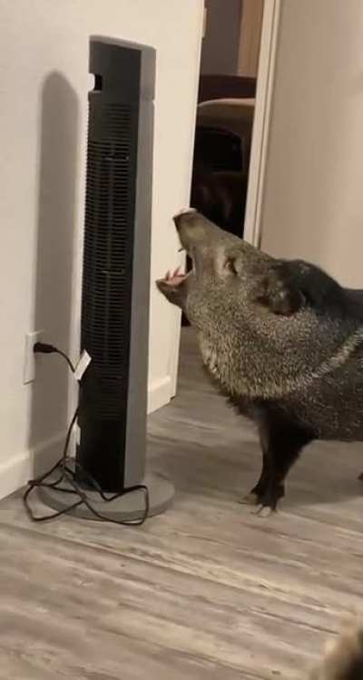 He&rsquo;s a big fan of the AC