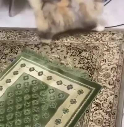 Calculating...