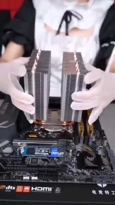 Not sure if a repost......but what we want, most of us, yes I want.