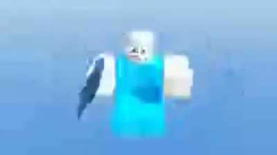 The final wash video