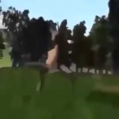 Gangnam