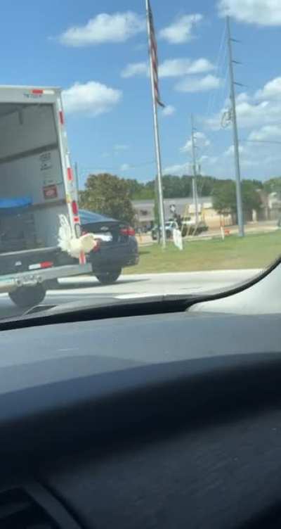 Why&rsquo;d the chicken cross the road?