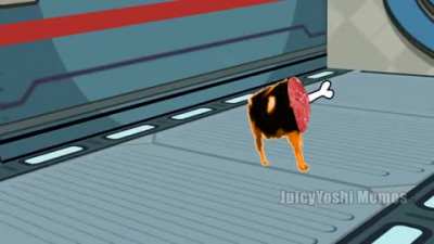 Vaca no among