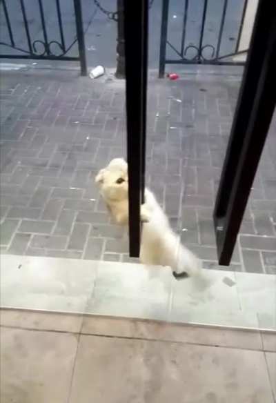When you can't wait for the store to open. ?. ?