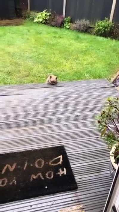 It&rsquo;s like a little cartoon!