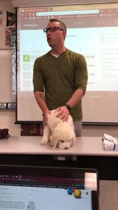 Hostage doggo