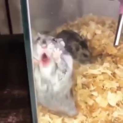 😛👉